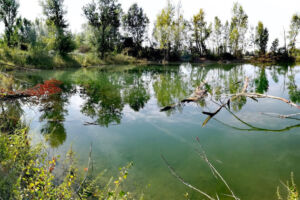 Plan d’eau de gravière de Haute-Garonne
